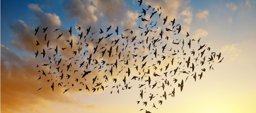 Cloud migration: How and why business is moving to the cloud