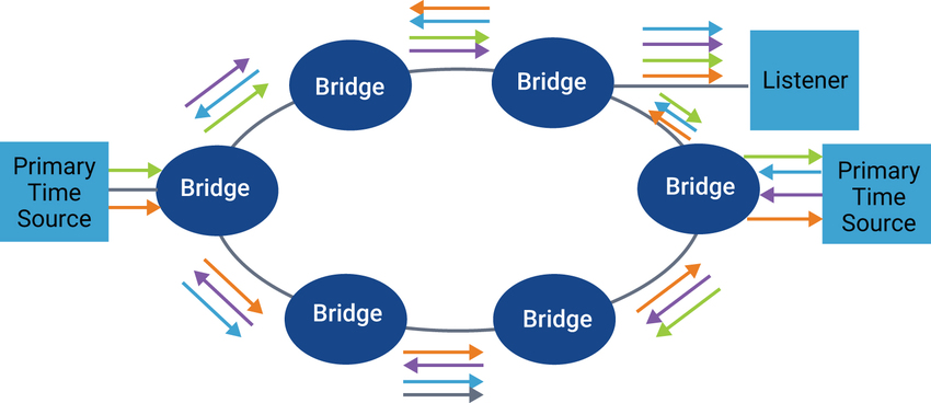 图5b：多个大主控使用单独的路径发送2个副本