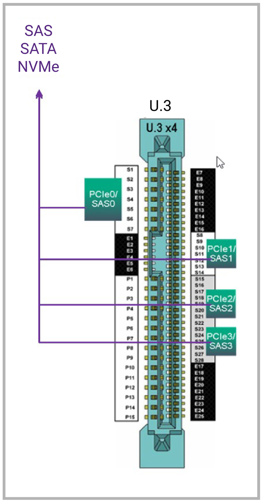 图 4：U.3 连接器支持 SAS、SATA 和 NVMe 驱动器
