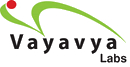 Vayavya Labs