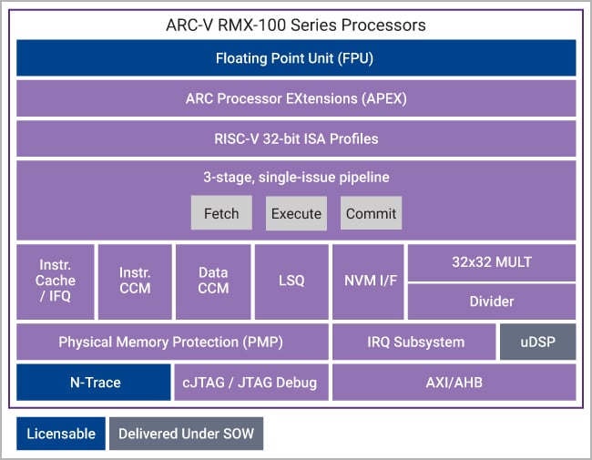 Synopsys ARC-V RMX-100 Block Diagram