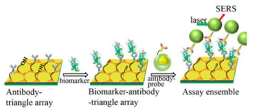 Schematic illustration of SERS immuno-sensor for biomarker operating detection | Synopsys
