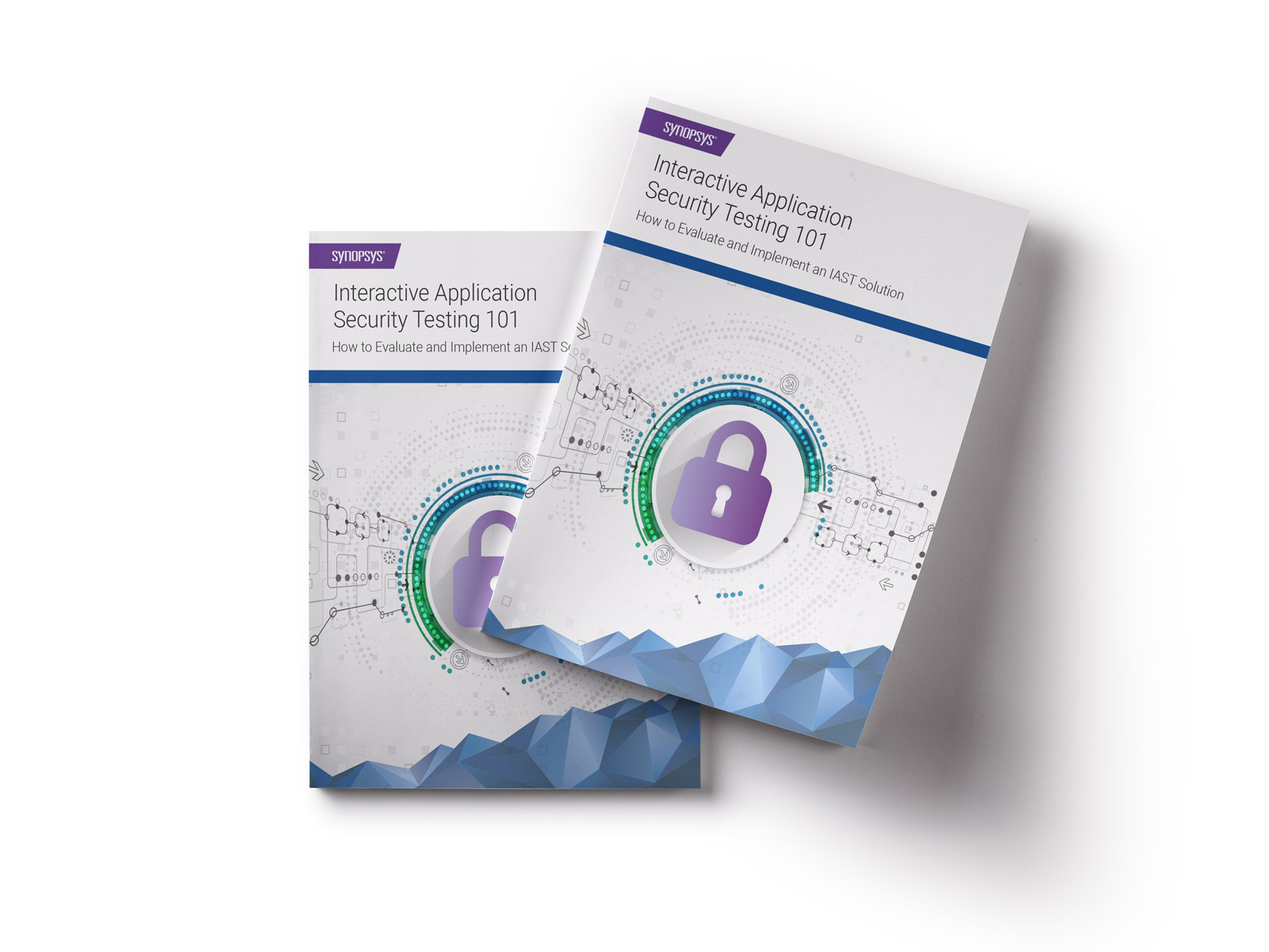 synopsys application security