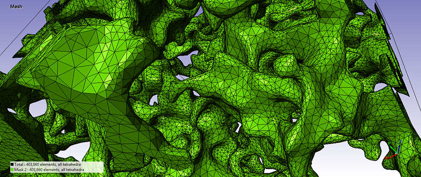 Meshed pore structure model using the Simpleware FE module