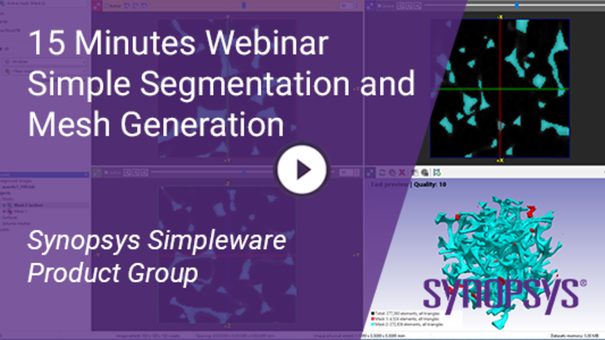 Webinar Simpleware Segmentation & Mesh Generation | Synopsys
