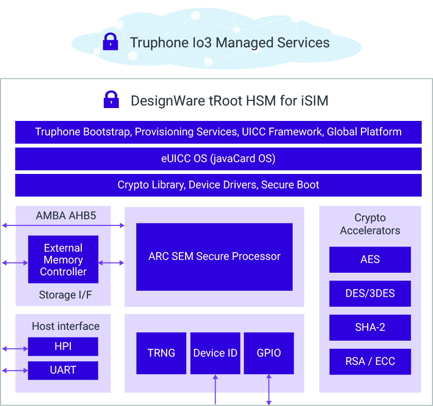 Synopsys tRoot HSM for iSIM Block Diagram